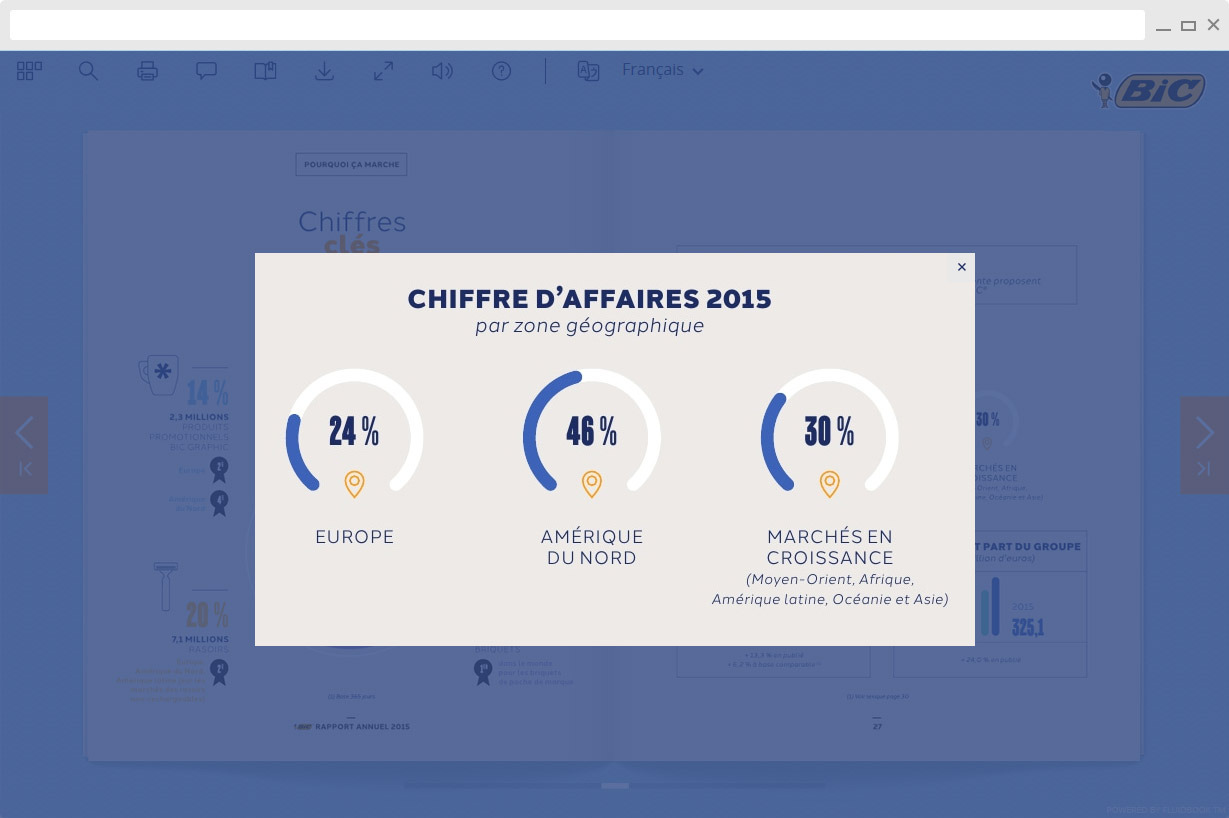 Zone de zoom ouverte dans un rapport annuel Bic : chiffre d'affaires 2015 par zone géographique, Europe 24 %, Amérique du Nord 46 %, marchés en croissance 30 %
